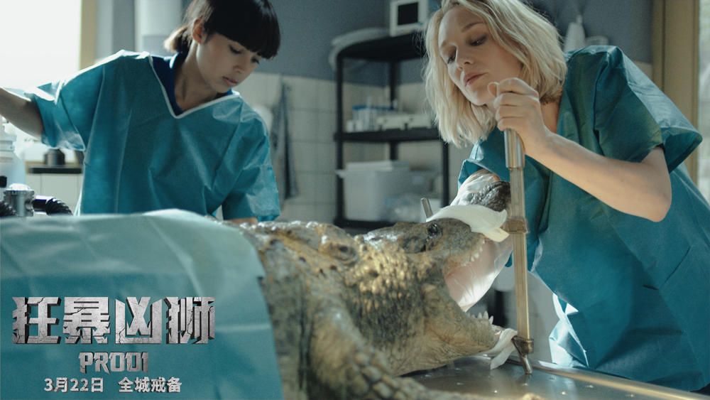 心跳加速的冒险，探索三级惊悚片的魅力