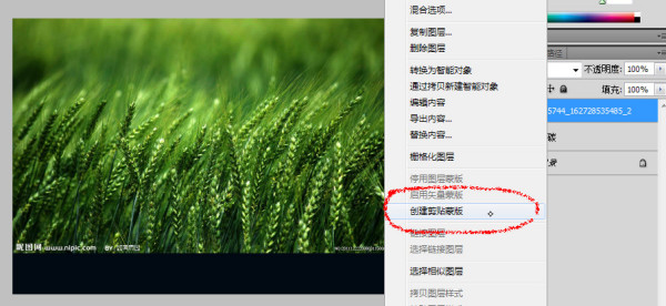 绿色版PS，环保理念下的图像编辑革命
