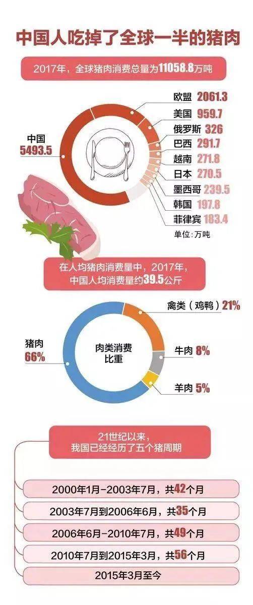 深入了解加输华猪肉的风险与挑战，保障食品安全的关键步骤