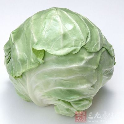 卷心菜的秘密，网络迷因背后的幽默与智慧