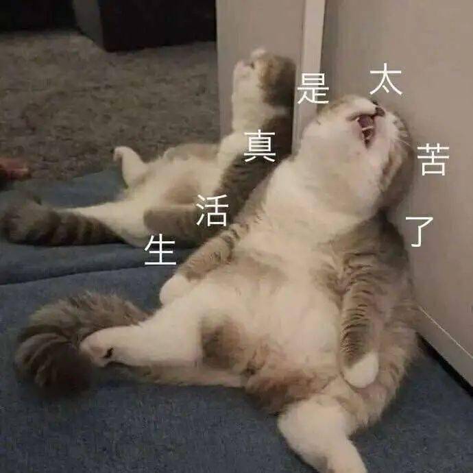 失物招领处,找回遗失的美好 失物招领处,找回遗失的美好