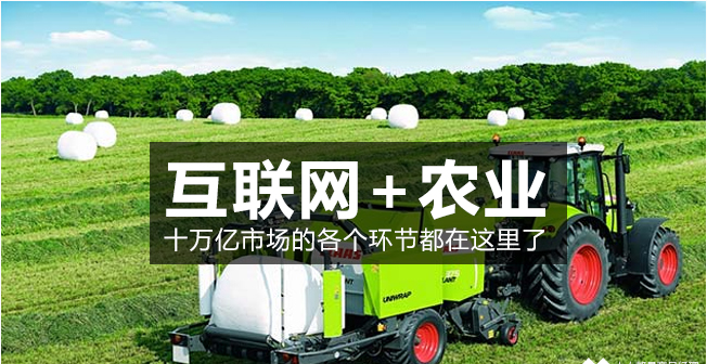 疯狂的农场，揭秘现代农业的创新与挑战