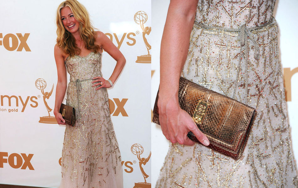 丹妮尔·坎贝尔，演艺事业的璀璨之星