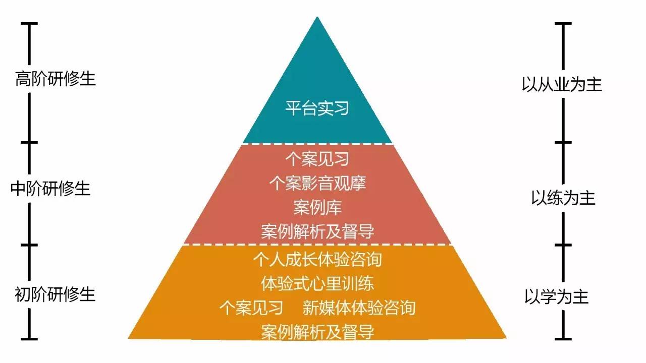 心金二周目，深入探索与策略指南