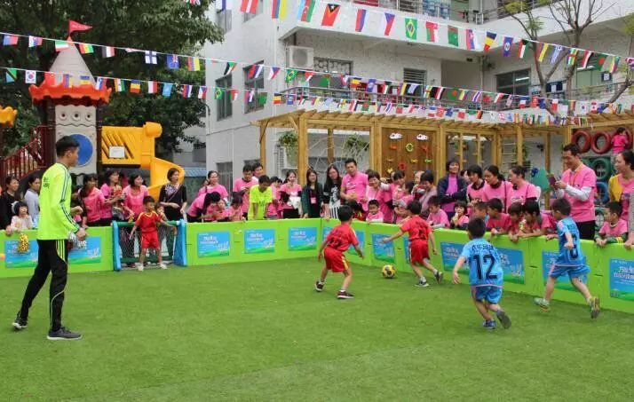 宠物运动会，欢乐、健康与友谊的盛会