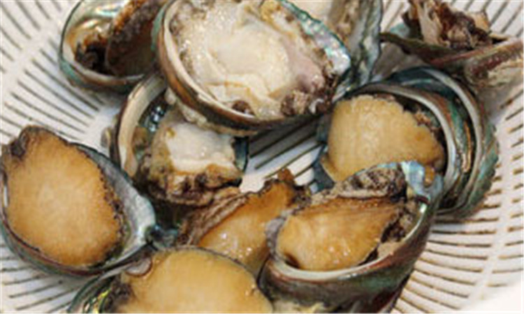 鲍鱼蜜芽永不失联，探索食材保鲜的秘诀