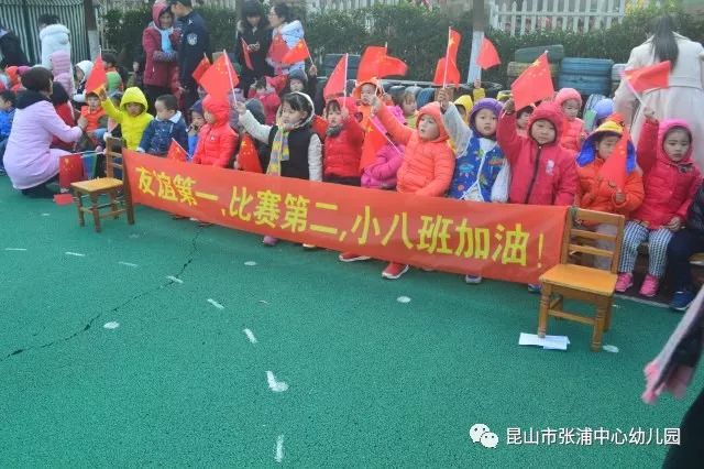 宠物运动会，欢乐、健康与友谊的盛会