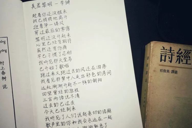 慢慢喜欢你，歌词中的情感深度与生活哲学