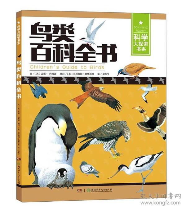 探索自然之声，子规鸟的奥秘与魅力