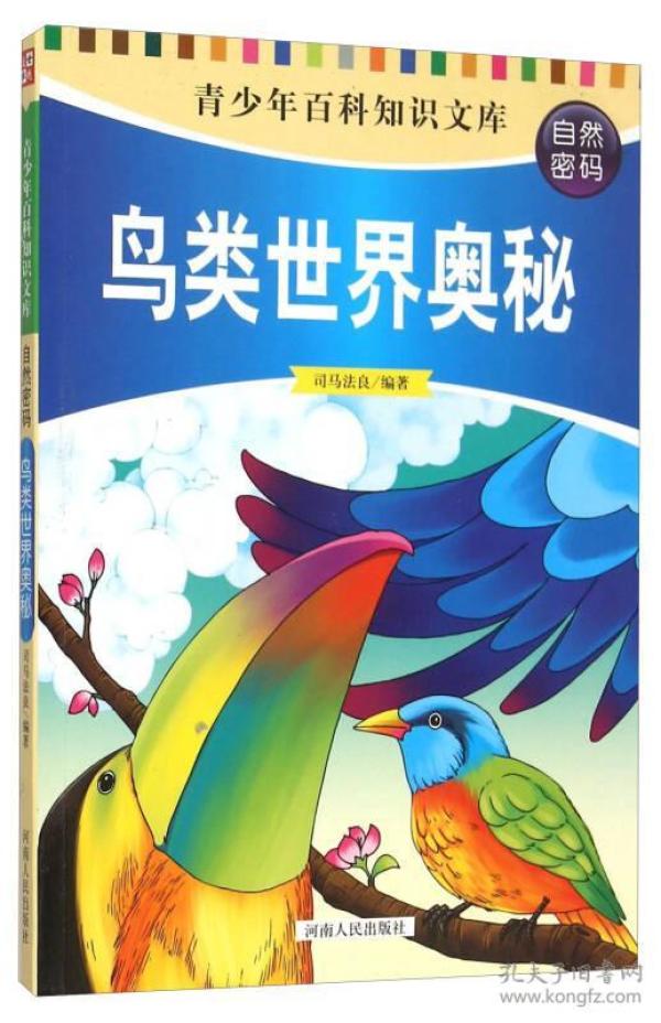 探索自然之声，子规鸟的奥秘与魅力