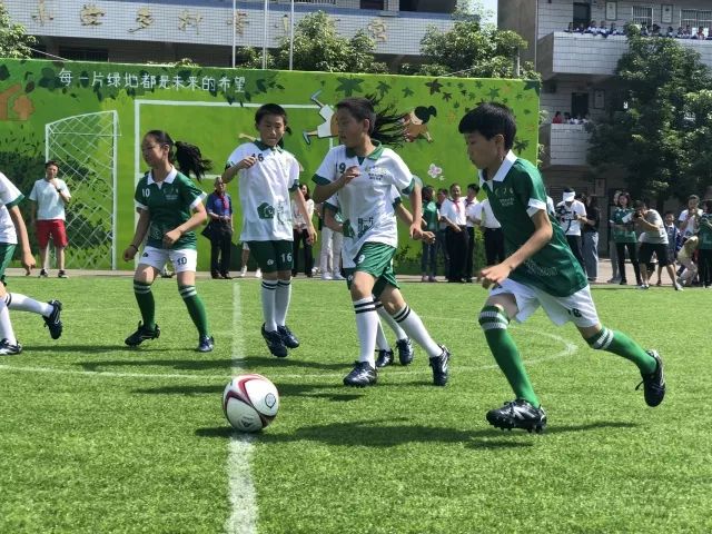 探索布鲁日足球俱乐部，足球之城的荣耀与梦想