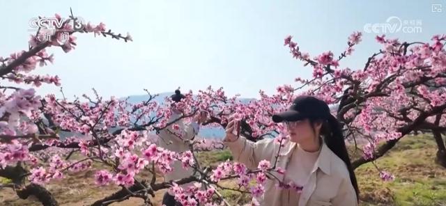 春水初生，桃花始盛，探索上巳节的古老风俗与现代传承