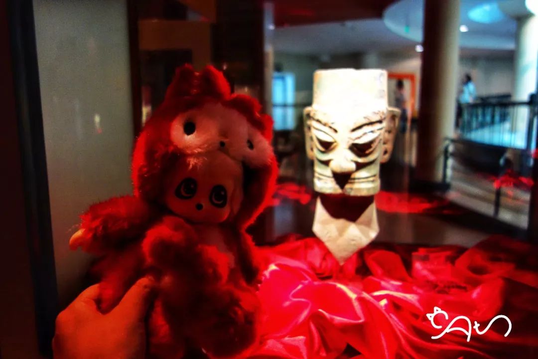 熊熊勇闯异世界，奇幻冒险之旅与现实生活的奇妙融合