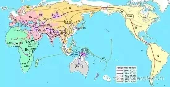 探索未来世界地图，科技、环境与人类社会的交汇点