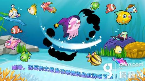 探索水族箱的奇妙世界，开心水族箱的养护与乐趣