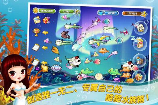 探索水族箱的奇妙世界，开心水族箱的养护与乐趣