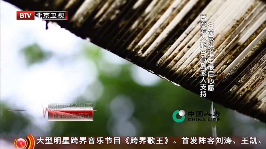 最后的愿望，生命尽头的深刻反思与人性光辉
