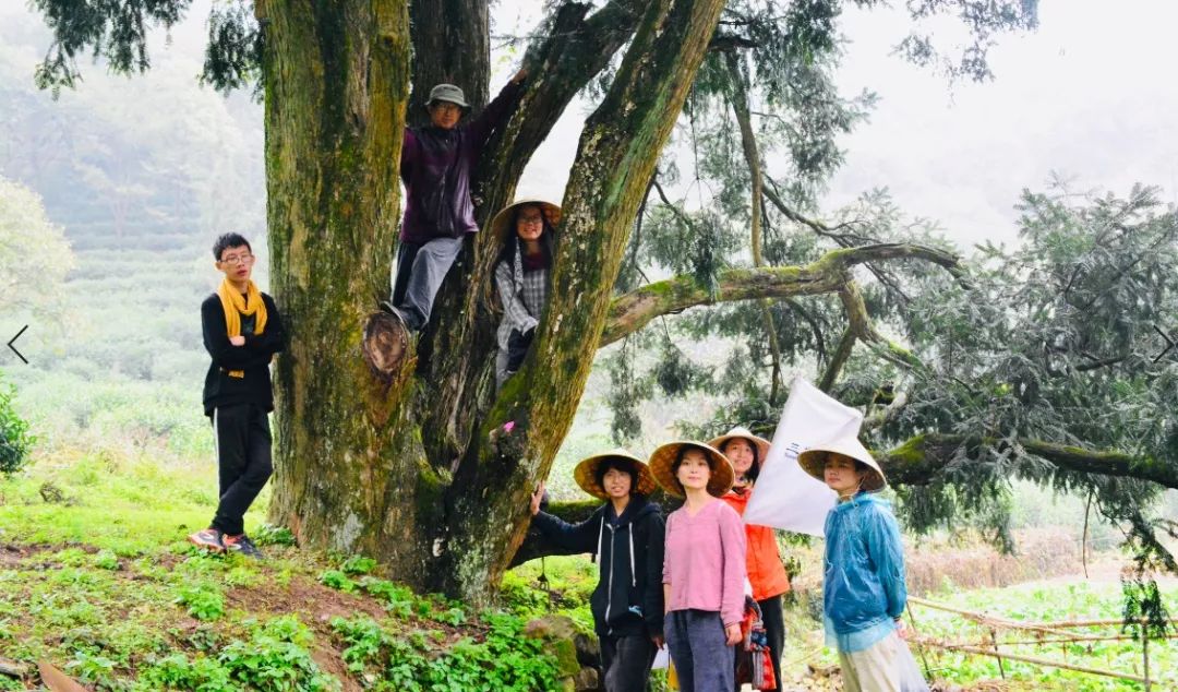 骑蛇难下,探索海棠书院的双倍魅力 骑蛇难下,探索海棠书院的双倍魅力