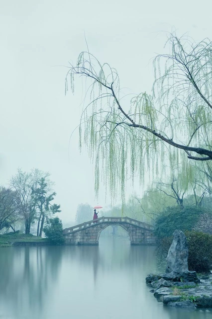 尘缘烟雨江南，探秘江南水乡的诗意与生活
