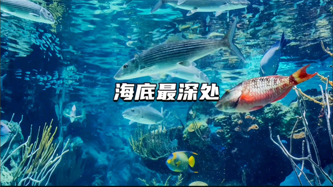 深海大冒险，揭秘海洋深处的未知世界