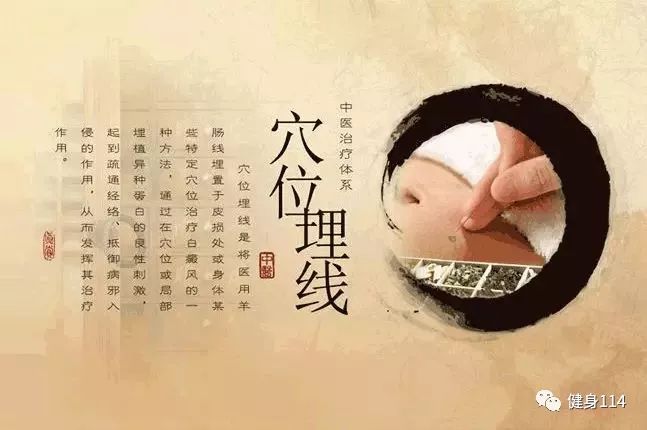 姐是老中医，传统医学的智慧与现代生活的融合