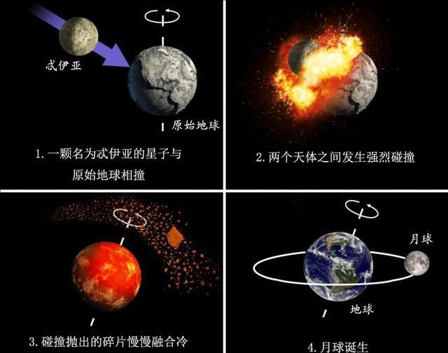 探索生命的奇迹，单卵细胞球的奥秘