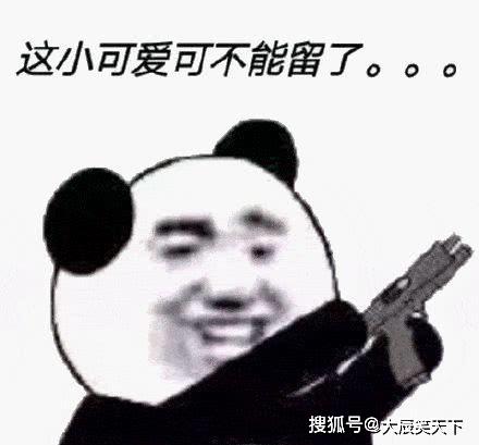 金馆长熊猫,网络文化中的幽默与创意 金馆长熊猫,网络文化中的幽默与创意