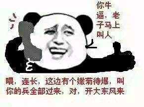 金馆长熊猫，网络文化中的幽默大使