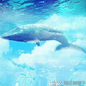 深海的温柔，鲸落的寓意与海洋生态的奥秘