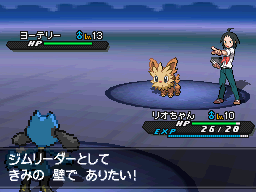 口袋妖怪黑白2全攻略，成为精灵大师的秘籍