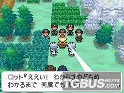 口袋妖怪黑白2全攻略，成为精灵大师的秘籍