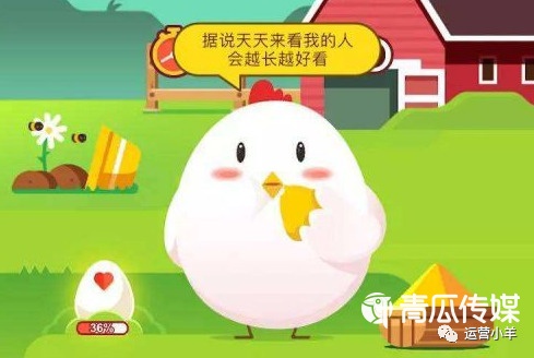 小鸡庄园,揭秘今日答案,让游戏更有趣 小鸡庄园,揭秘今日答案,让游戏更有趣