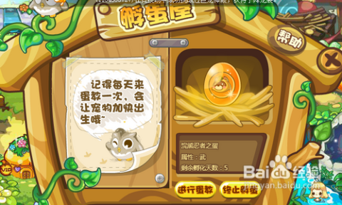 洛克王国宠物蛋,孵化你的奇幻冒险伙伴 洛克王国宠物蛋,孵化你的奇幻冒险伙伴