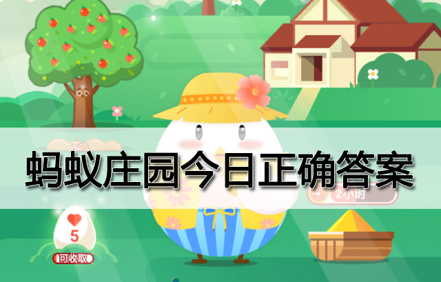 小鸡庄园,揭秘今日答案,开启知识之旅 小鸡庄园,揭秘今日答案,开启知识之旅