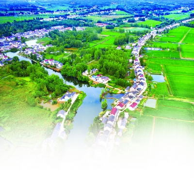 一枝独秀幸福村，乡村振兴的璀璨明珠