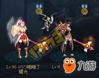 血精灵圣骑士，光明与荣耀的守护者