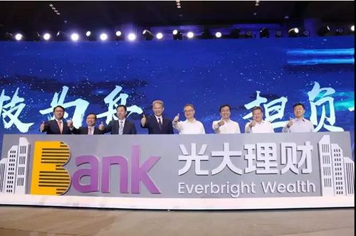 地球联合理事会,全球治理的未来愿景 地球联合理事会,全球治理的未来愿景