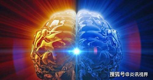 揭开食人花的神秘面纱，科学与传说的交织