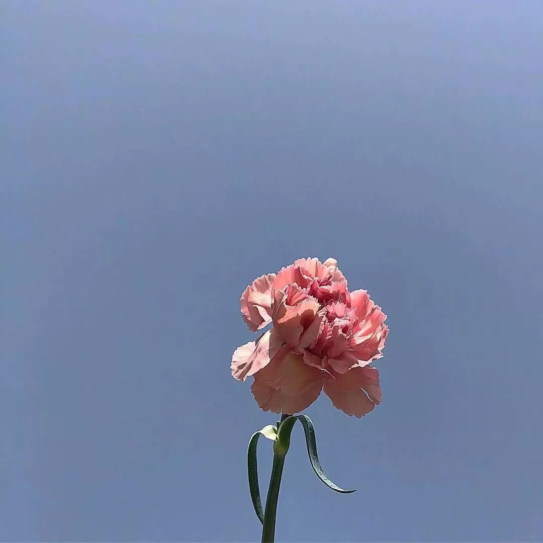 平平淡淡简单的幸福,在日常中寻找快乐与满足 平平淡淡简单的幸福,在日常中寻找快乐与满足