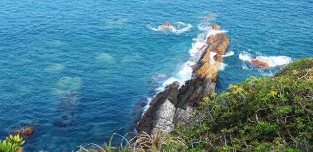 爱情岛论坛1,探索虚拟世界的浪漫角落 爱情岛论坛1,探索虚拟世界的浪漫角落
