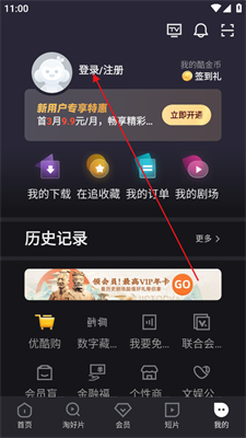 优酷国际版，全球视野下的中国视频内容平台