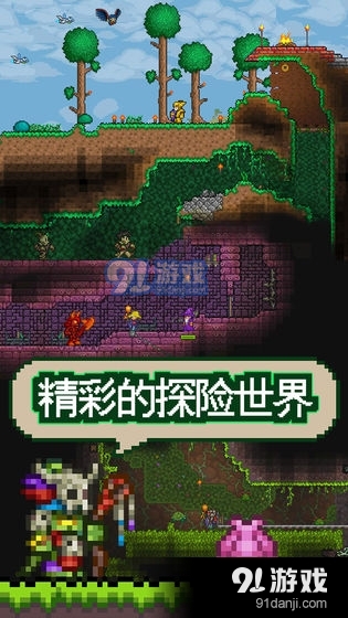 泰拉瑞亚Boss大全，深入探索与战斗指南