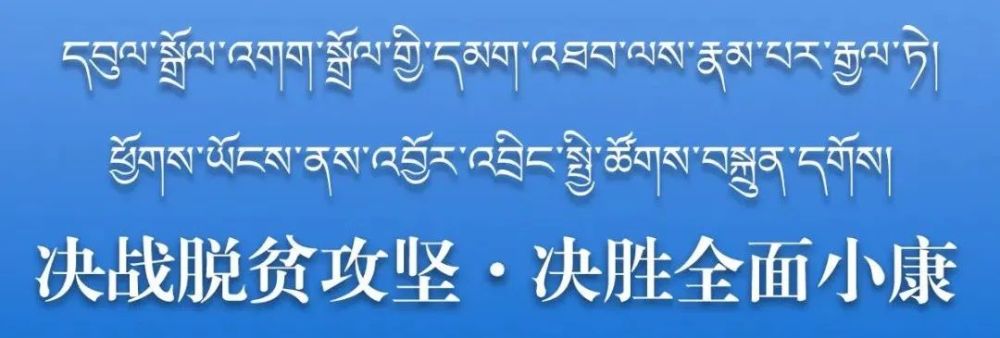 龙语傻瓜教程，如何轻松掌握这门神秘语言