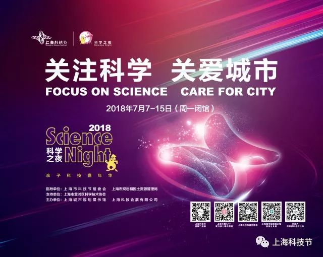 闪亮的塔科特，探索自媒体时代的个人品牌打造与影响力扩张