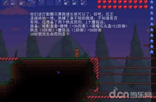 泰拉瑞亚Boss大全，深入探索与战斗策略