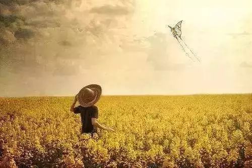 人生的乐章，探索人的一生啊是什么歌的奥秘