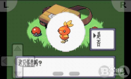 口袋妖怪红宝石,神兽的传说与捕捉指南 口袋妖怪红宝石,神兽的传说与捕捉指南