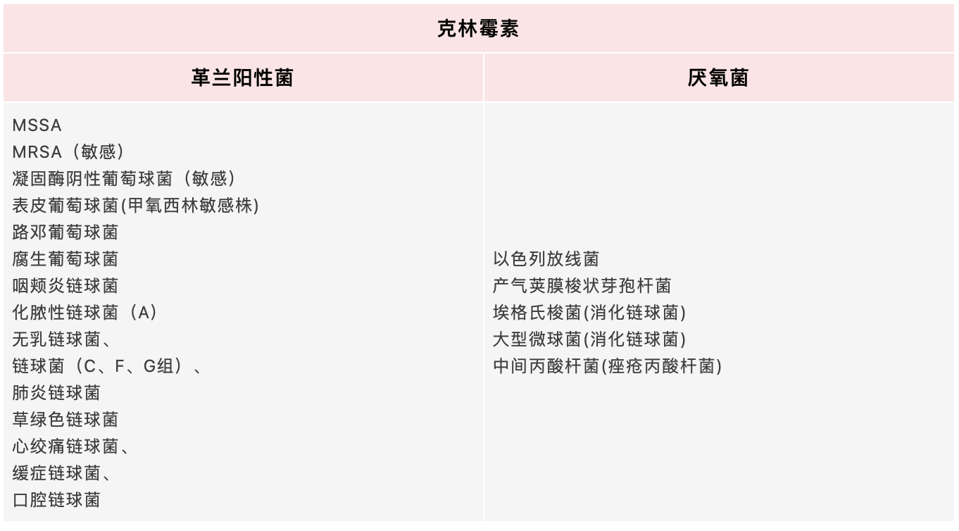 探索古希腊智慧,希腊语学习指南 探索古希腊智慧,希腊语学习指南