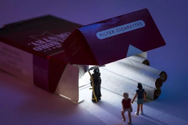 探索微观世界，北京模型展的魅力与启示