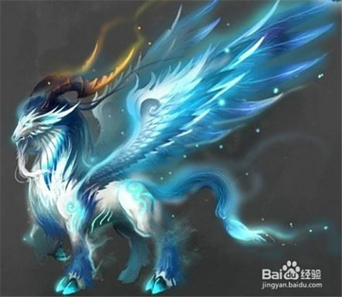 探索神秘生物，白泽的传说与现实